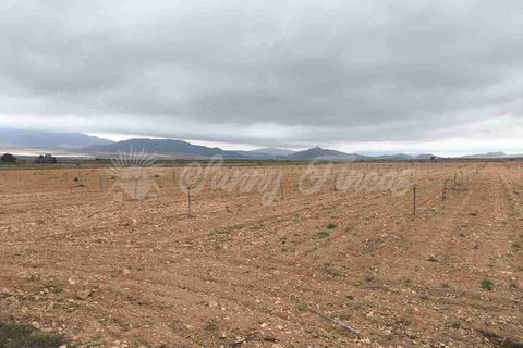 Helårsgrund i Yecla, Murcia, Yecla - € 47.000 | Ref: SF0566 - foto 9